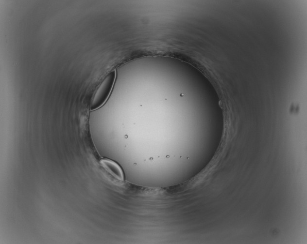 X0000113360576200909221202