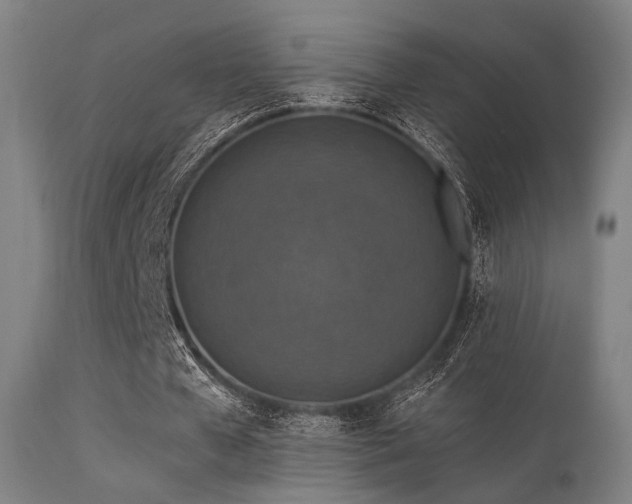 X0000113360577200909221201