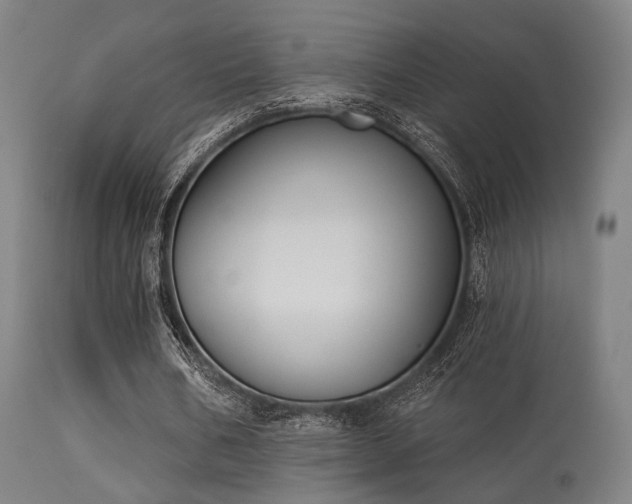 X0000113360578200909221201