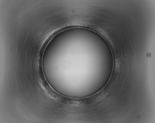 X0000113360580200909221201