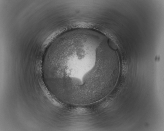 X0000113360581200909221201