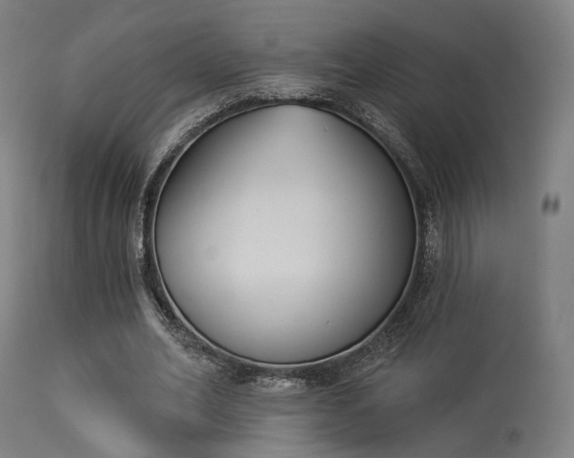 X0000113360582200909221201