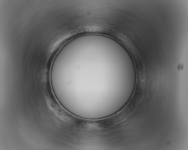 X0000113360583200909221201