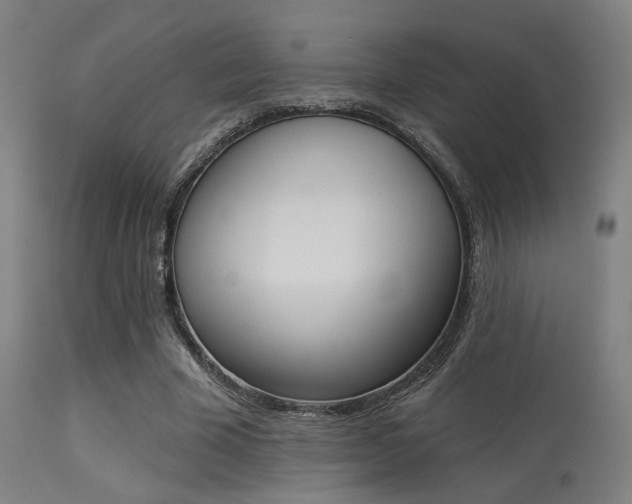X0000113360585200909221201