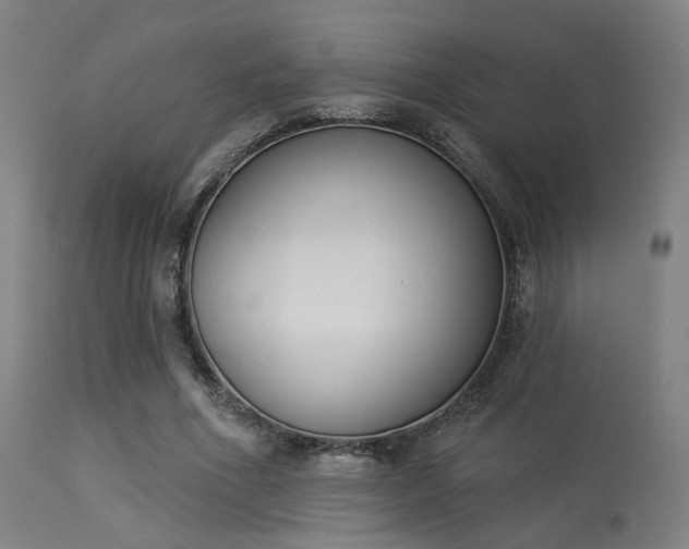 X0000113360586200909221201