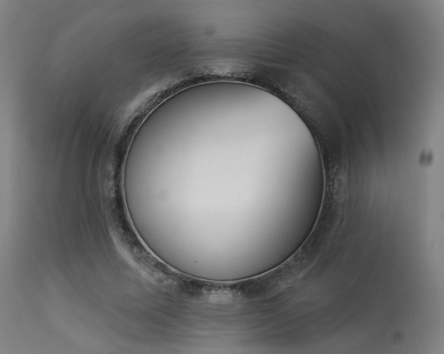 X0000113360587200909221201
