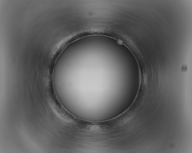 X0000113360588200909221201