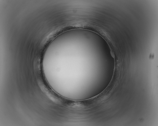 X0000113360589200909221201