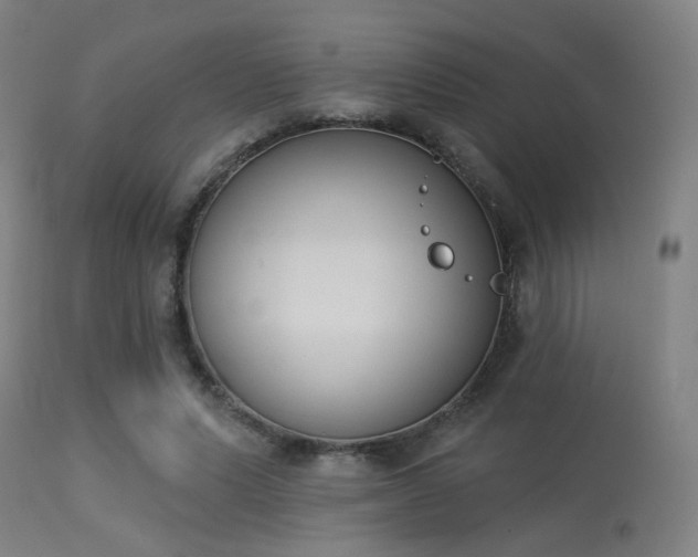 X0000113360591200909221201