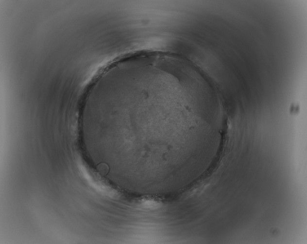 X0000113360592200909221201