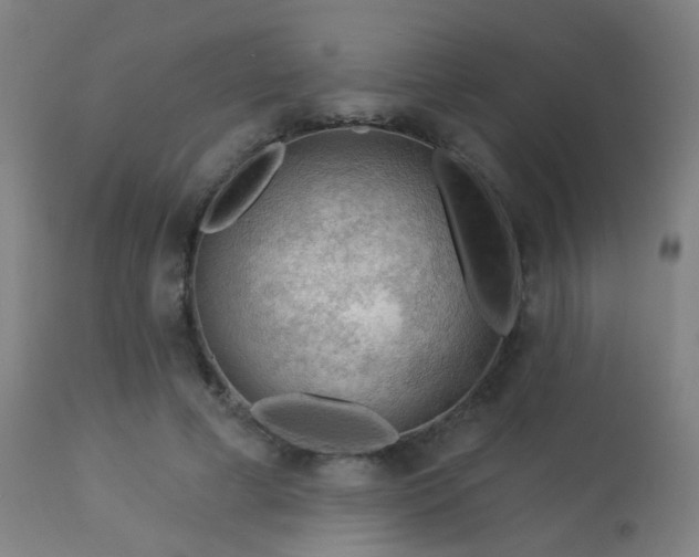 X0000113360593200909221201