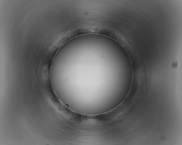 X0000113360594200909221201