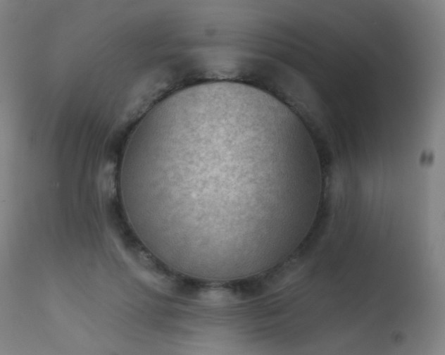 X0000113360598200909221201