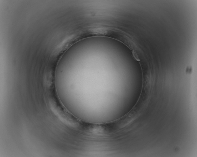 X0000113360600200909221201