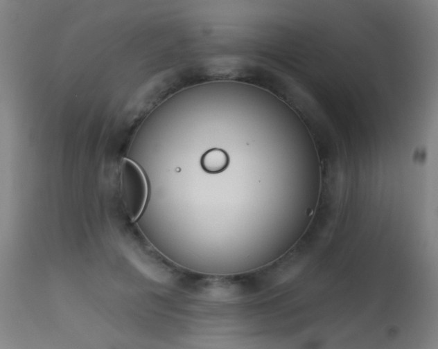 X0000113360601200909221201
