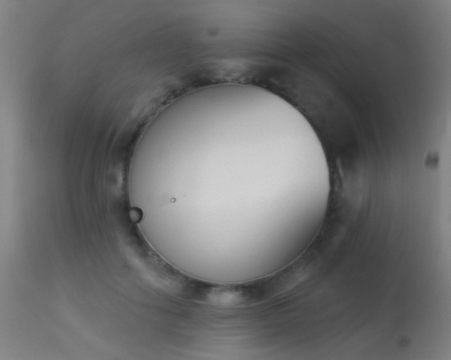 X0000113360602200909221201