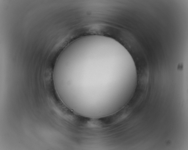 X0000113360603200909221201
