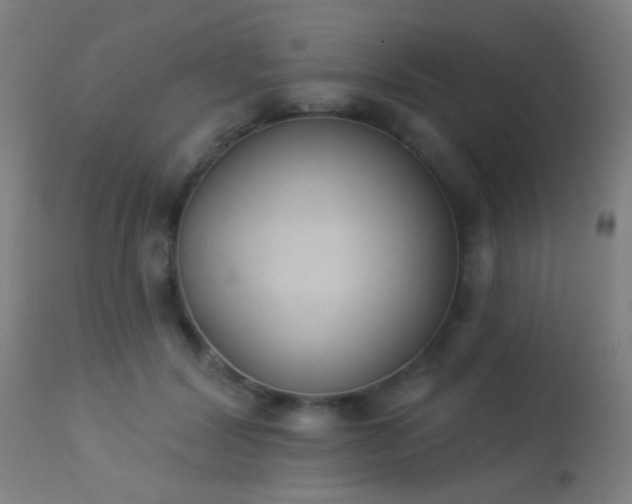 X0000113360604200909221201