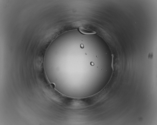 X0000113360605200909221201