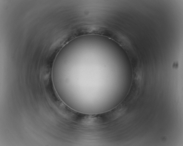 X0000113360607200909221201