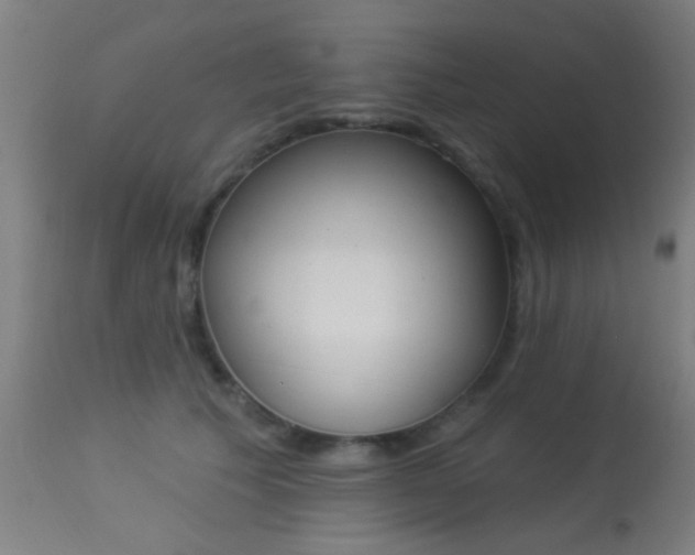 X0000113360609200909221201