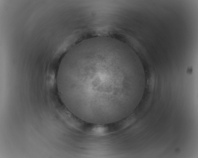 X0000113360610200909221201