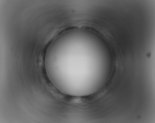 X0000113360611200909221201