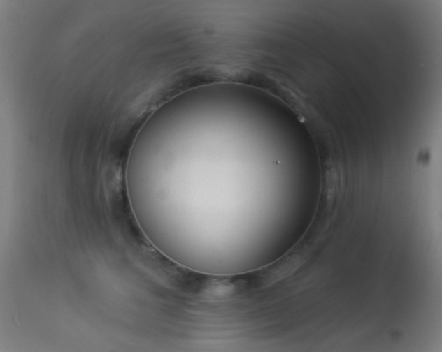 X0000113360613200909221201
