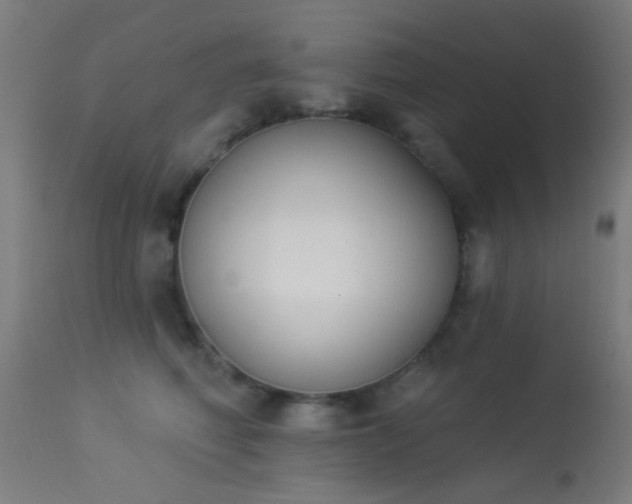 X0000113360614200909221201