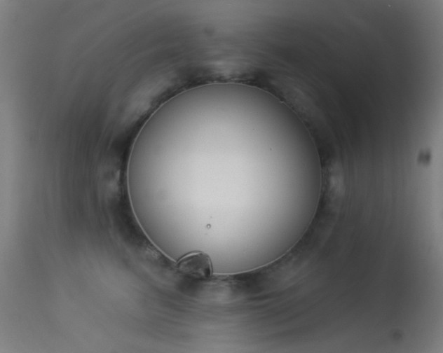X0000113360615200909221201