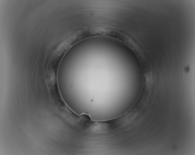 X0000113360617200909221201