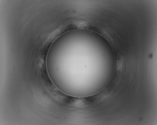X0000113360618200909221201