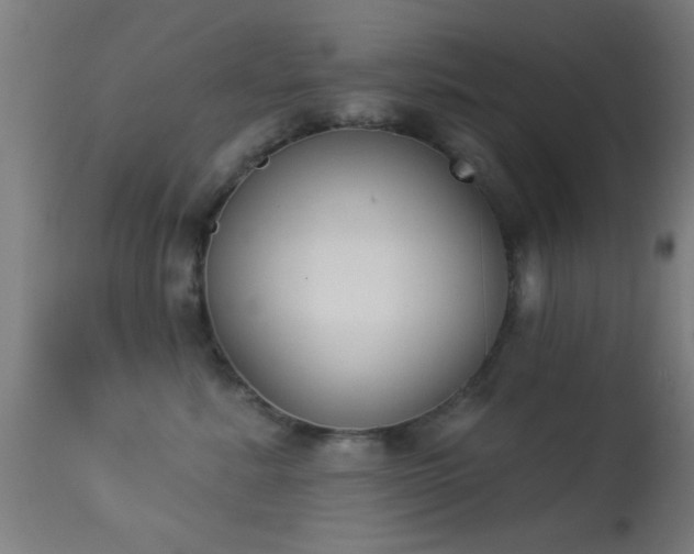 X0000113360619200909221201