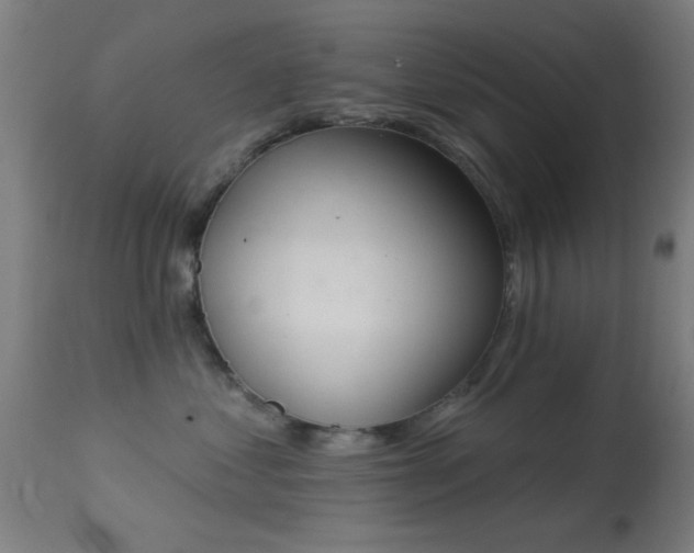 X0000113360621200909221201