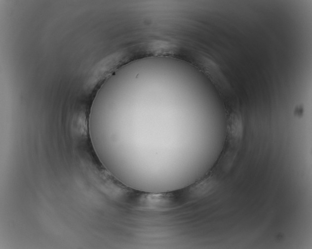 X0000113360622200909221201