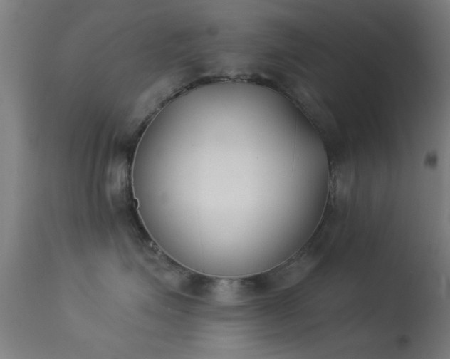 X0000113360623200909221201