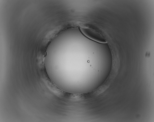 X0000113360624200909221201
