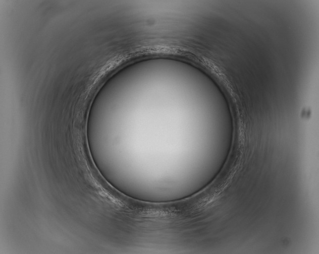 X0000113360625200909221200