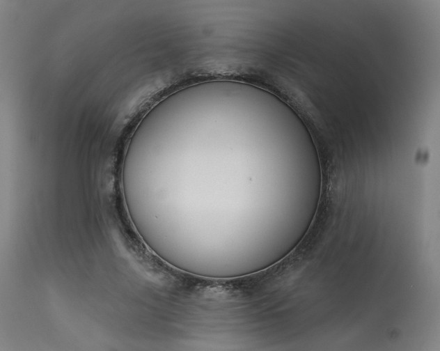 X0000113360635200909221200