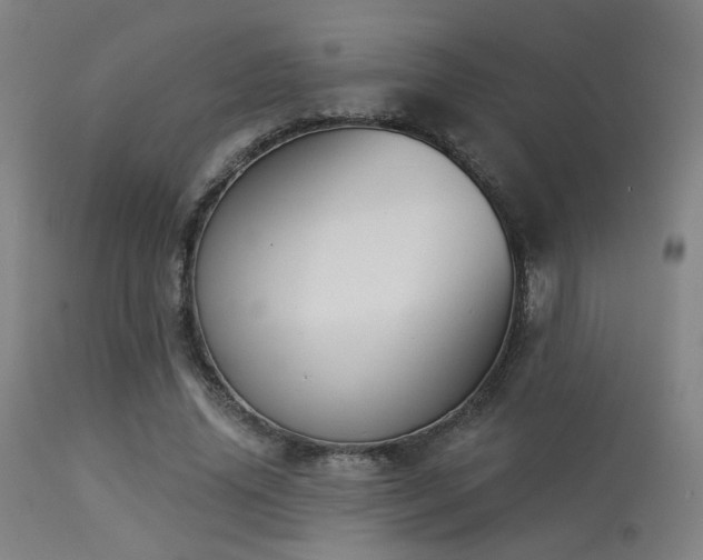 X0000113360636200909221200