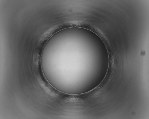 X0000113360637200909221200