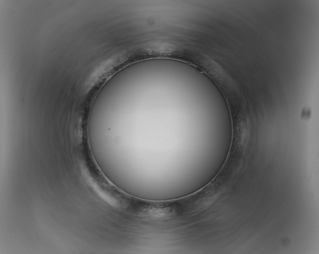 X0000113360638200909221200