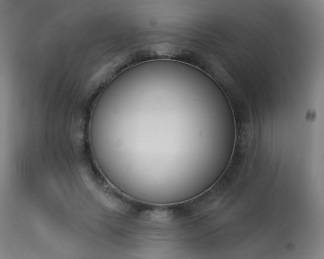 X0000113360639200909221200
