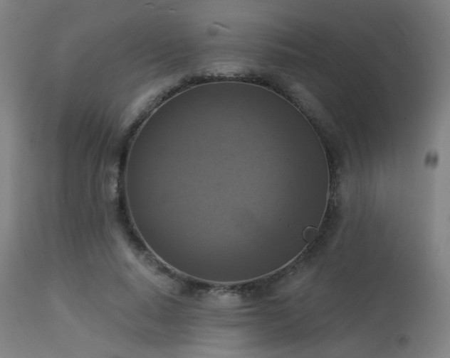 X0000113360640200909221200
