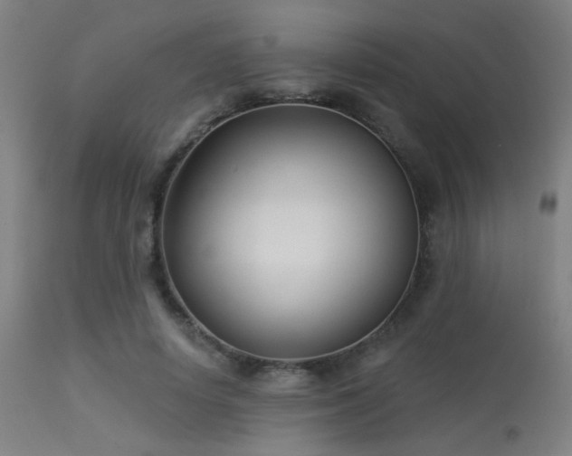 X0000113360642200909221200