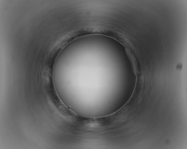 X0000113360643200909221200