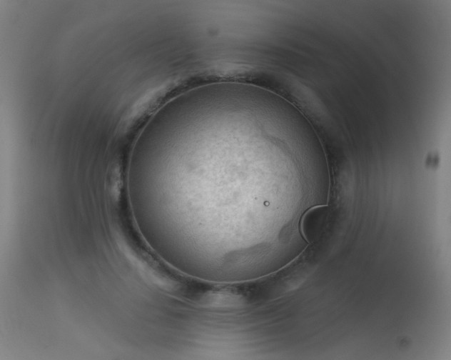 X0000113360644200909221200