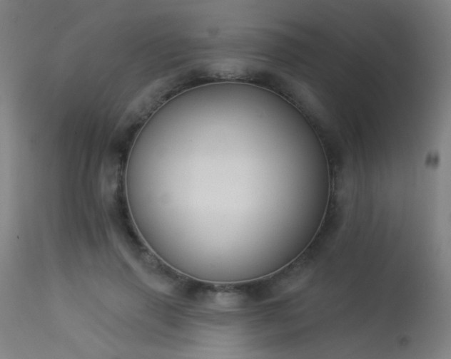 X0000113360645200909221200