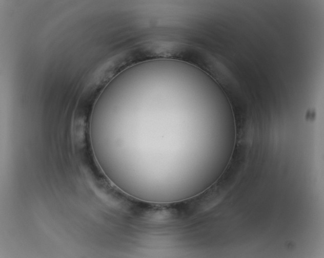 X0000113360646200909221200