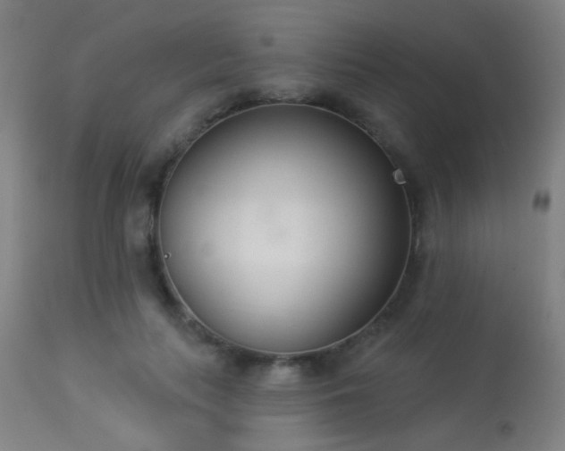 X0000113360647200909221200